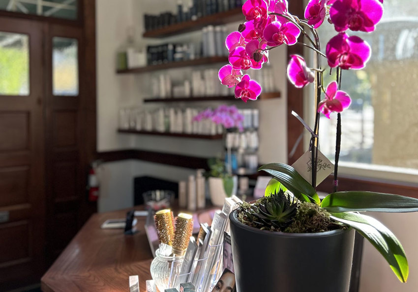 Ashton House Flower 1