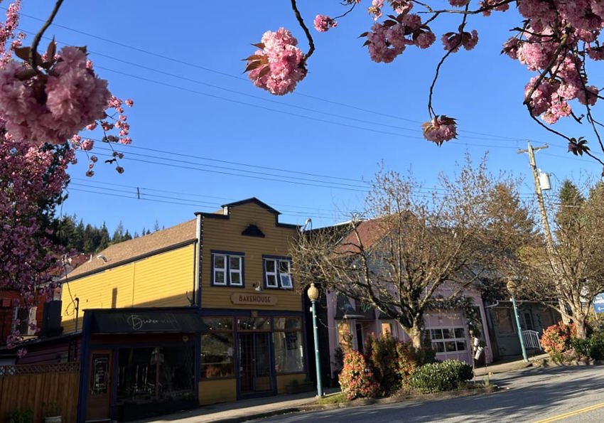 Ashton House Wide 13