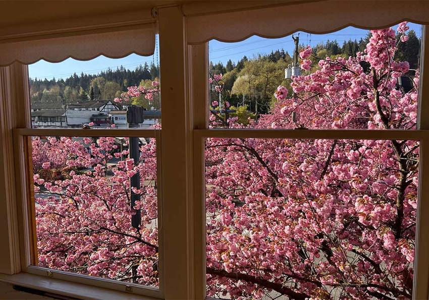 Ashton House View 10